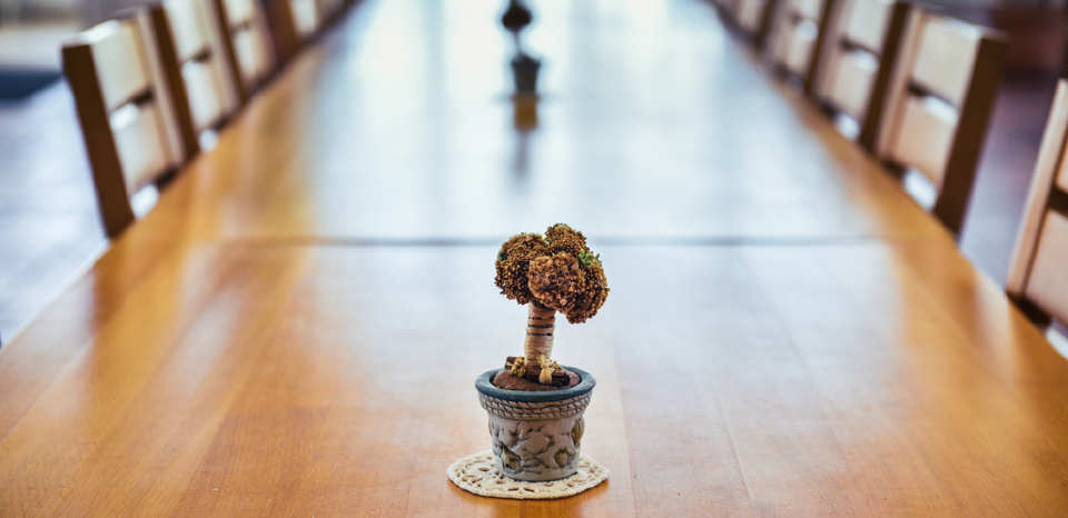 Wooden table with plant pot decoration on top