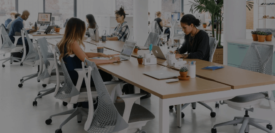 Prestige chairs and office desk